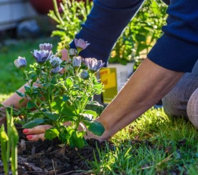 gardening_mistakes_to_learn_from-720x480