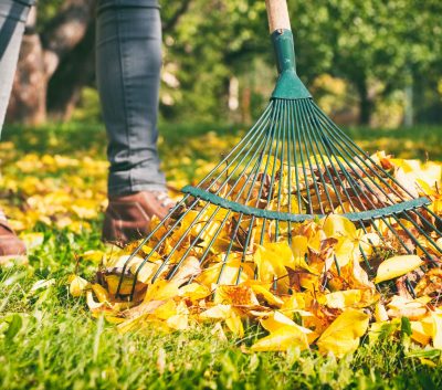 spring-clean-your-garden